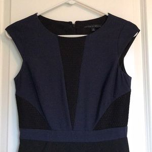Antonio Melani navy and black sheath dress (2)